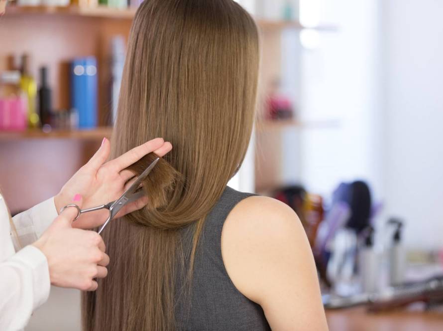 Transforma tu Cabello en Casa Servicios de Corte a Domicilio en Tampa Bay